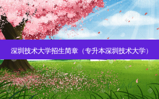 深圳技术大学招生简章（专升本深圳技术大学）
