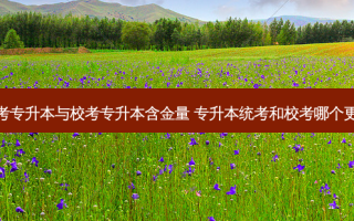统考专升本与校考专升本含金量 专升本统考和校考哪个更好
