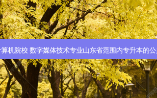 山东专升本二本计算机院校 数字媒体技术专业山东省范围内专升本的公办二本院校有哪些