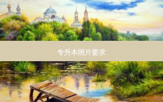 专升本照片要求
