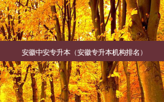 安徽中安专升本（安徽专升本机构排名）