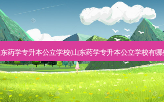 山东药学专升本公立学校(山东药学专升本公立学校有哪些)