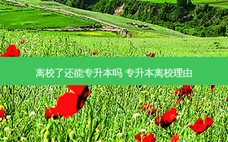 离校了还能专升本吗 专升本离校理由