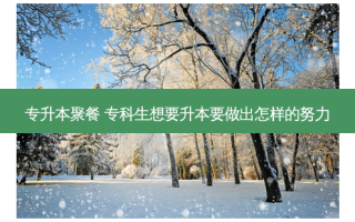 专升本聚餐 专科生想要升本要做出怎样的努力