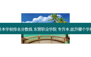 东营专升本学校排名分数线 东营职业学院 专升本,能升哪个学校的本科