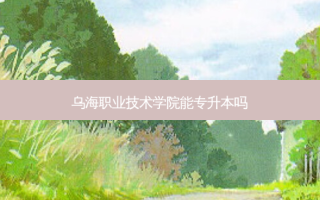 乌海职业技术学院能专升本吗