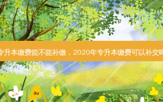 专升本缴费能不能补缴，2020年专升本缴费可以补交吗