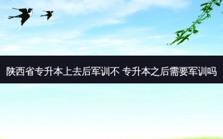 陕西省专升本上去后军训不 专升本之后需要军训吗