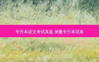 专升本语文考试真题 测量专升本试卷