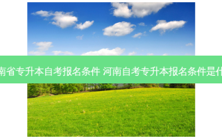 河南省专升本自考报名条件 河南自考专升本报名条件是什么