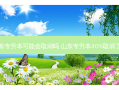 山东专升本可能会取消吗 山东专升本40%取消了吗