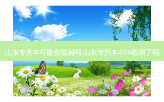 山东专升本可能会取消吗 山东专升本40%取消了吗