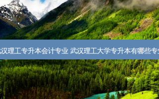 武汉理工专升本会计专业 武汉理工大学专升本有哪些专业