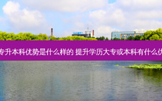 大专升本科优势是什么样的 提升学历大专或本科有什么优势