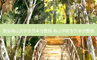 烟台南山大学专升本分数线 南山学院专升本分数线