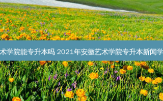 安徽艺术学院能专升本吗 2021年安徽艺术学院专升本新闻学分数线