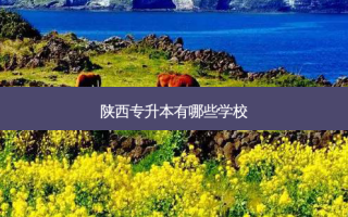 陕西专升本有哪些学校