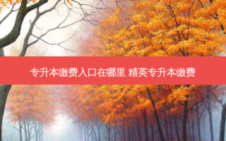 专升本缴费入口在哪里 精英专升本缴费
