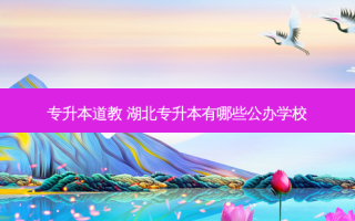 专升本道教 湖北专升本有哪些公办学校