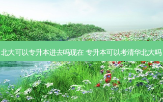 北大可以专升本进去吗现在 专升本可以考清华北大吗