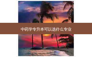 中药学专升本可以选什么专业