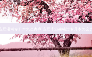 应届没考专升本怎么办啊 应届毕业生错过专升本怎么办