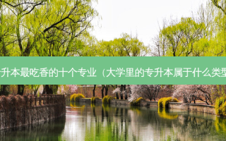 专升本 *** 吃香的十个专业（大学里的专升本属于什么类型）