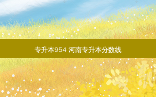 专升本954 河南专升本分数线