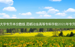 金昌冶金大学专升本分数线 昆明冶金高等专科学校2021年专升本升本率