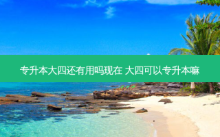 专升本大四还有用吗现在 大四可以专升本嘛