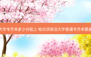 商业大学专升本多少分能上 哈尔滨商业大学普通专升本要多少分