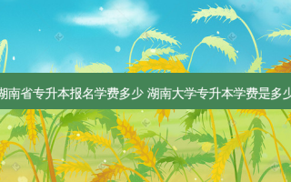 湖南省专升本报名学费多少 湖南大学专升本学费是多少