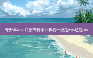 专升本wps 江苏专转本计算机一级是wps还是ms