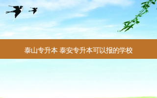 泰山专升本 泰安专升本可以报的学校