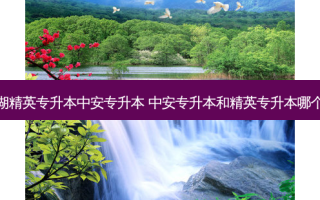 芜湖精英专升本中安专升本 中安专升本和精英专升本哪个好