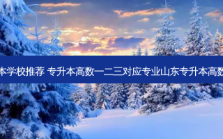 山东高数三专升本学校推荐 专升本高数一二三对应专业山东专升本高数一二三对应专业