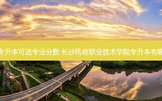 长沙市专升本可选专业分数 长沙民政职业技术学院专升本有哪些大学