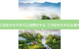 工业工程技术专升本可以报哪些专业 工学院专升本非金属专升本
