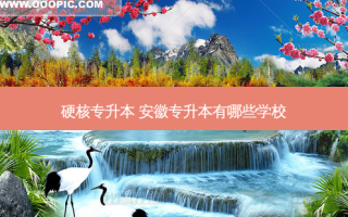 硬核专升本 安徽专升本有哪些学校