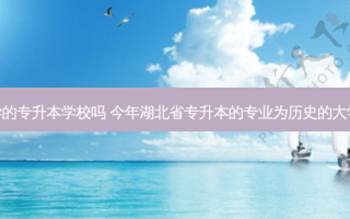 有历史学的专升本学校吗 今年湖北省专升本的专业为历史的大学有哪些