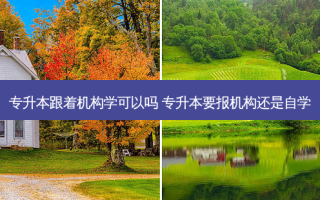 专升本跟着机构学可以吗 专升本要报机构还是自学
