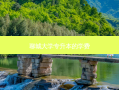 聊城大学专升本的学费