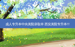 成人专升本中央美院录取率 西安美院专升本!!!
