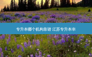 专升本哪个机构靠谱 江苏专升本率