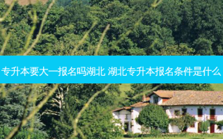 专升本要大一报名吗湖北 湖北专升本报名条件是什么