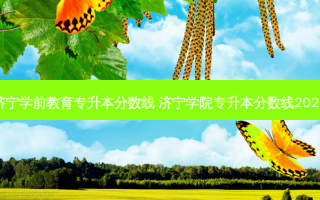 济宁学前教育专升本分数线 济宁学院专升本分数线2021