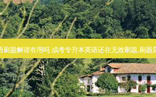 专升本英语刷题解读有用吗 成考专升本英语还在无效刷题,刷题是为了什么