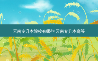 云南专升本院校有哪些 云南专升本高等