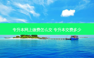 专升本网上缴费怎么交 专升本交费多少