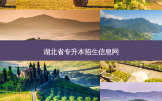 湖北省专升本招生信息网